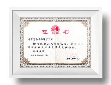头号玩家官网平台